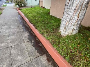 George W.'s grass maintenance service result
