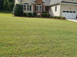 Tony C.'s lawn service service result