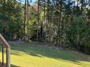 Natty R.'s lawn service service result