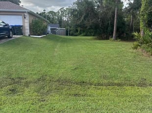 Holly C.'s grass cutting service result