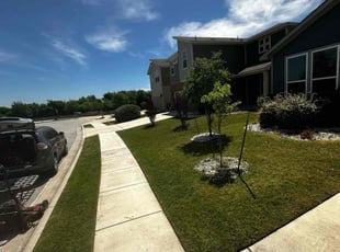 Tommy C.'s lawn care service result