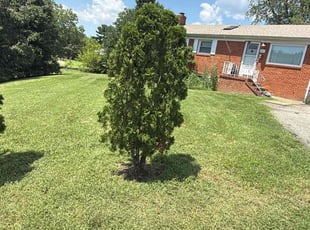 John B.'s turf care service result
