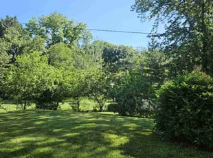 Jeremy K.'s lawn maintenance service result