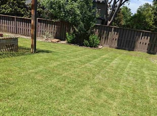 Jan M.'s lawn maintenance service result