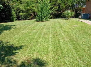 William C.'s grass cutting service result
