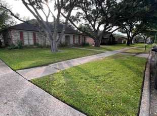 Ashley Z.'s lawn care service result