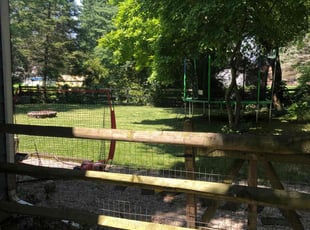 Christian G.'s lawn care services service result