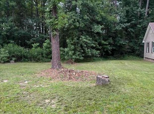 Roberta E.'s grass cutting service result