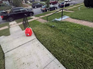 Tatiana P.'s lawn care service result