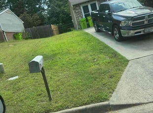 Catherine R.'s lawn care service result