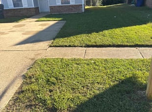 Jeanne M.'s grass cutting service result