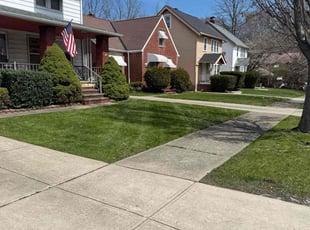 Tifanie D.'s lawn service service result