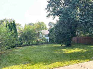 Daniel P.'s grass maintenance service result
