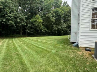 Thurman J.'s lawn care service result