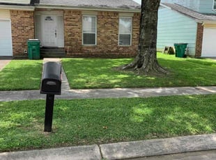 Sandra F.'s turf maintenance service result