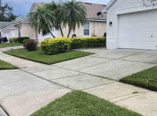 Pam S.'s turf maintenance service result