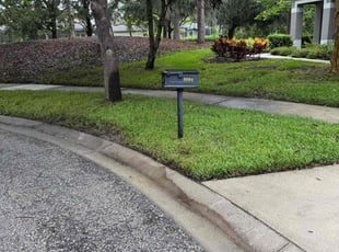 Bryan W.'s lawn service service result