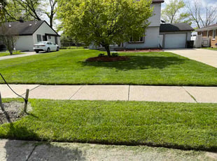 Louie V.'s lawn care service result