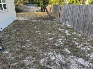 Glenn B.'s lawn care service result