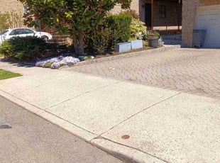 Sean M.'s lawn service service result