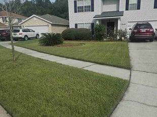 Renee W.'s grass cutting service result