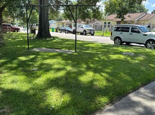 Aaya S.'s lawn maintenance service result