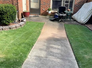 Jennie R.'s Bush Trimming service result