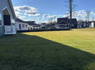 Michael D.'s lawn care service result