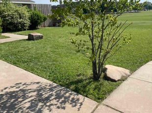 Margaret K.'s Long Grass Cleanup service result