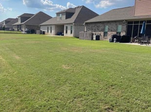 Terence S.'s lawn care service result