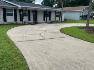 Luis B.'s turf care service result