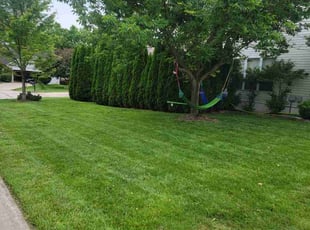 Tony J.'s lawn care service result