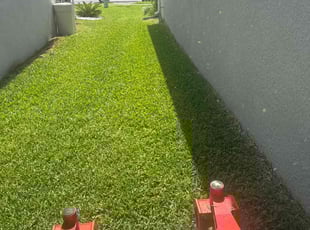 Gerard M.'s grass cutting service result