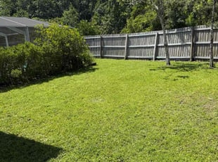 John H.'s lawn maintenance service result