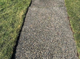 Elise S.'s lawn maintenance service result