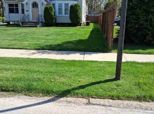 Philip M.'s lawn maintenance service result