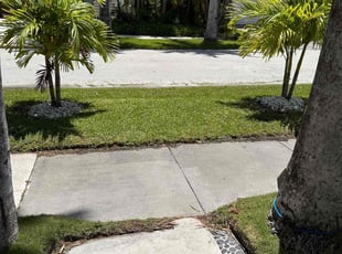 Milton N.'s lawn service service result