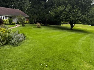 Barbara O.'s turf maintenance service result