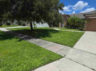 Georgianne G.'s grass maintenance service result