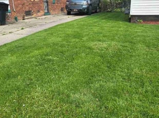Kierra D.'s grass maintenance service result