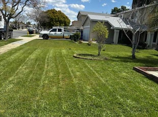 Teresa C.'s lawn care services service result