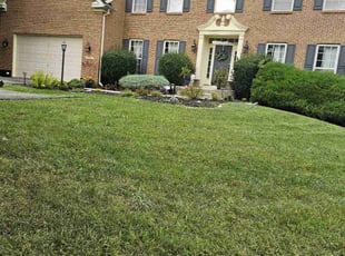 Velma L.'s turf maintenance service result