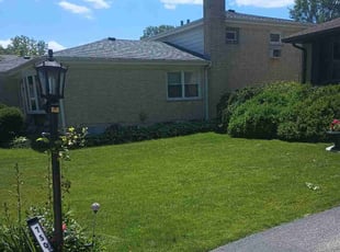 Tammi R.'s lawn service service result