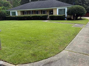 Robert F.'s turf maintenance service result