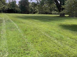 Grace S.'s lawn care services service result