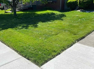 Kevin B.'s lawn care services service result