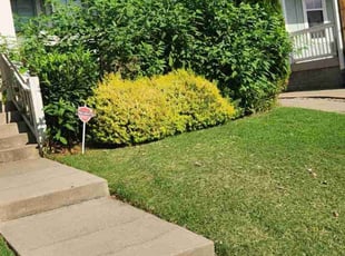 Curtis S.'s turf maintenance service result