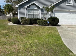 Nathaniel B.'s lawn service service result