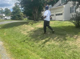 Amber C.'s lawn service service result