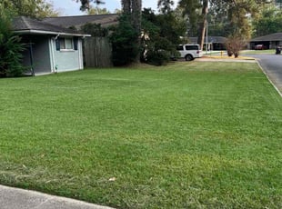 Jessica M.'s lawn care service result